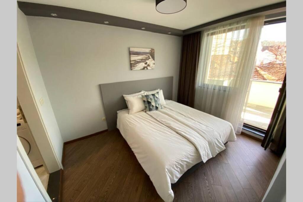 Lux 1Bd/1Ba City Center Apartment 布拉格埃夫格拉德 外观 照片