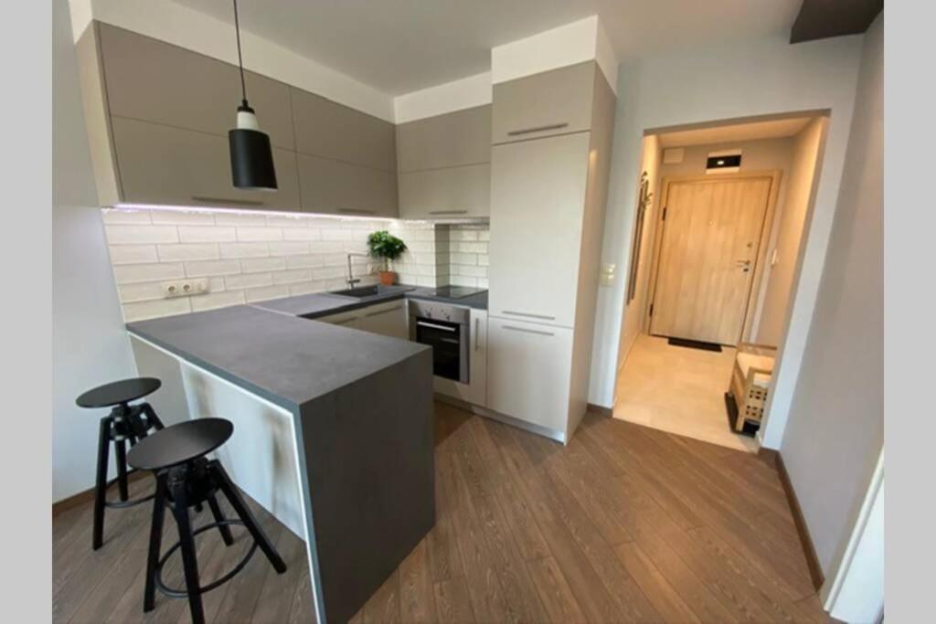 Lux 1Bd/1Ba City Center Apartment 布拉格埃夫格拉德 外观 照片