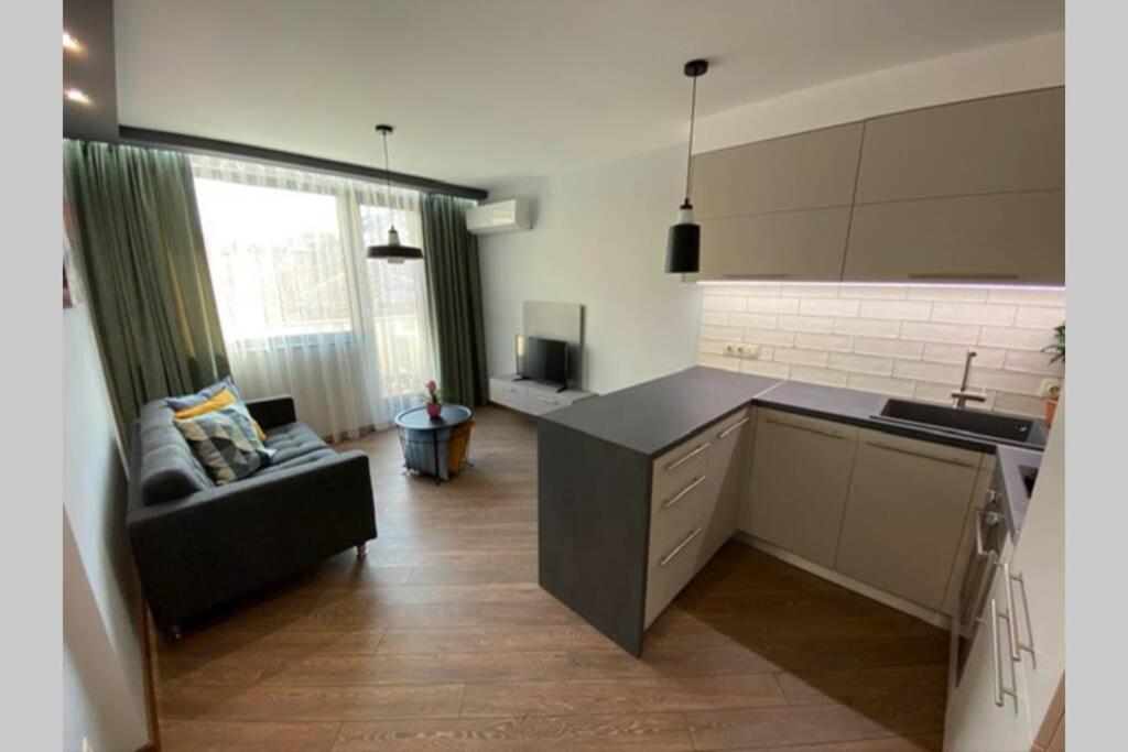 Lux 1Bd/1Ba City Center Apartment 布拉格埃夫格拉德 外观 照片